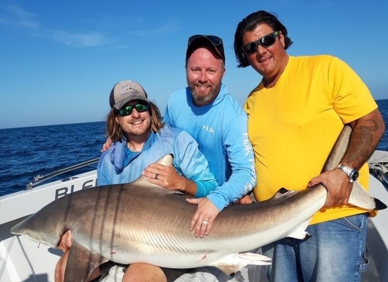 Cape Coral Fishing Report - Jan 2020 - Blue Line Fishing Charters, LLC