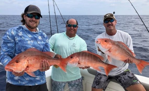 BlueLineFishing - SW Florida Fishing Reports