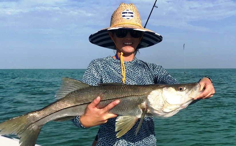 Common Snook - Snook Fishing Southwest Florida