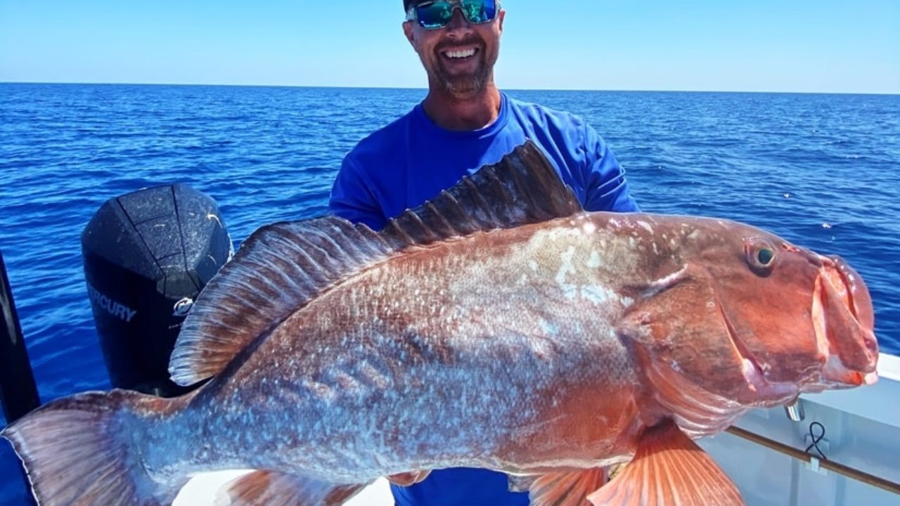 Red Grouper Fishing Cape Coral - Blue Line Fishing Charters, LLC