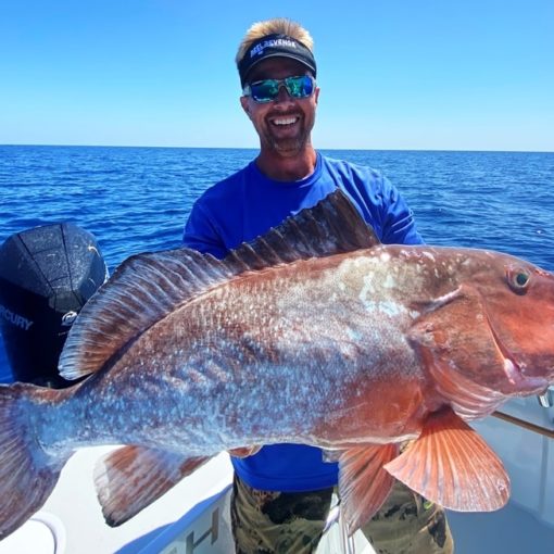 Red Grouper - Grouper Fishing Fort Myers