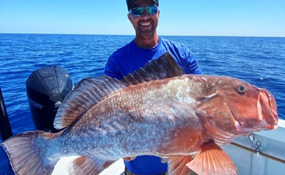 Red Grouper - Grouper Fishing Fort Myers
