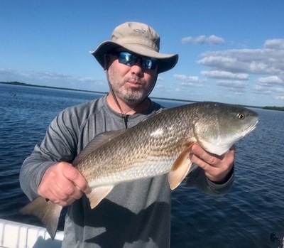 November 2020 Cape Coral Redfish