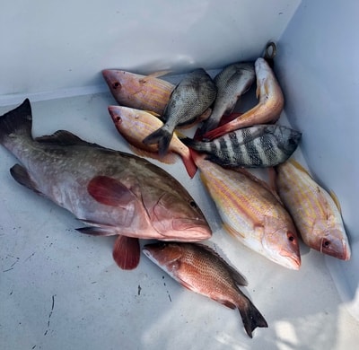 December 2020 Cape Coral Nearshore Fishing - 3